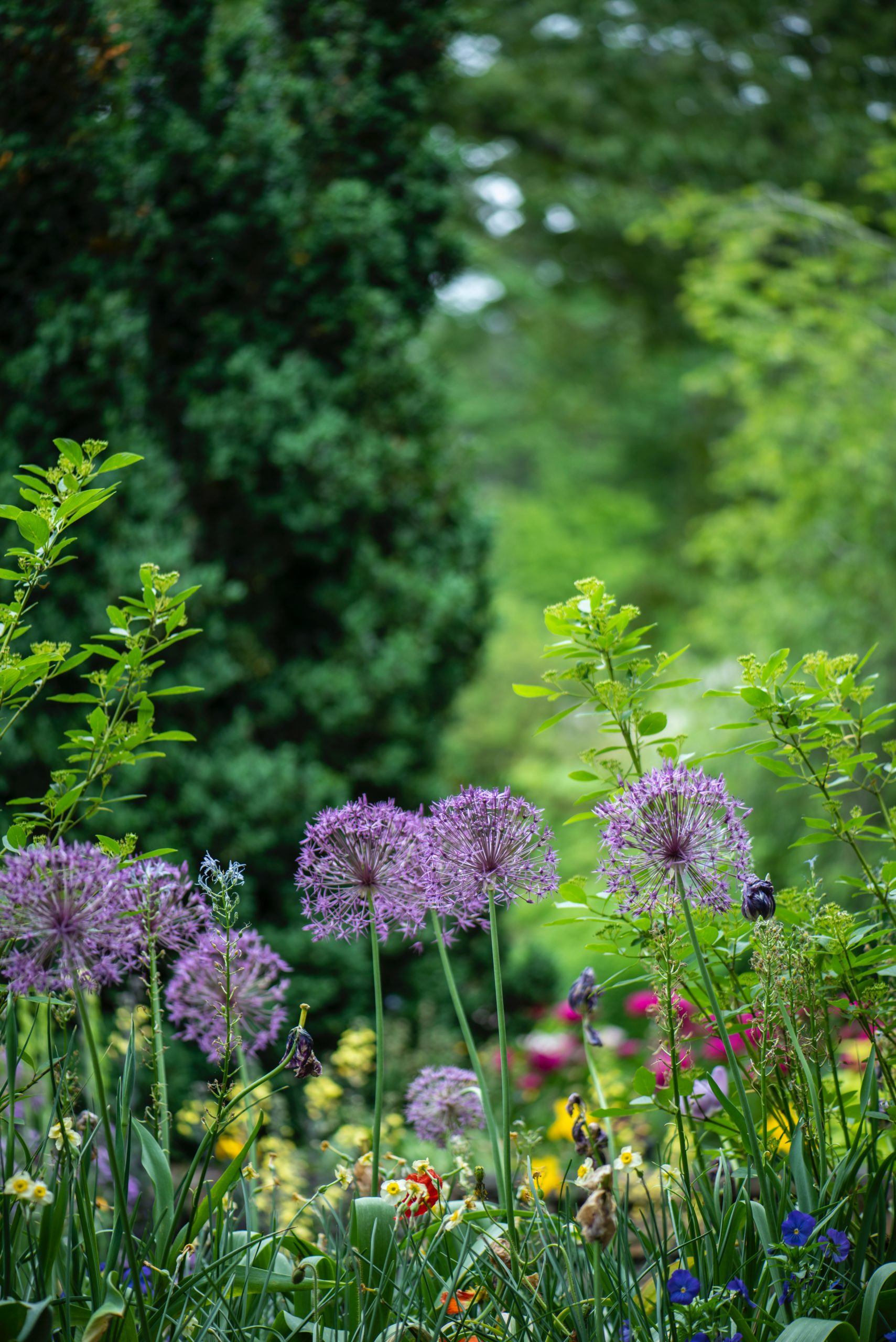 No Till Gardening: the Method, Benefits and Implementation Guide