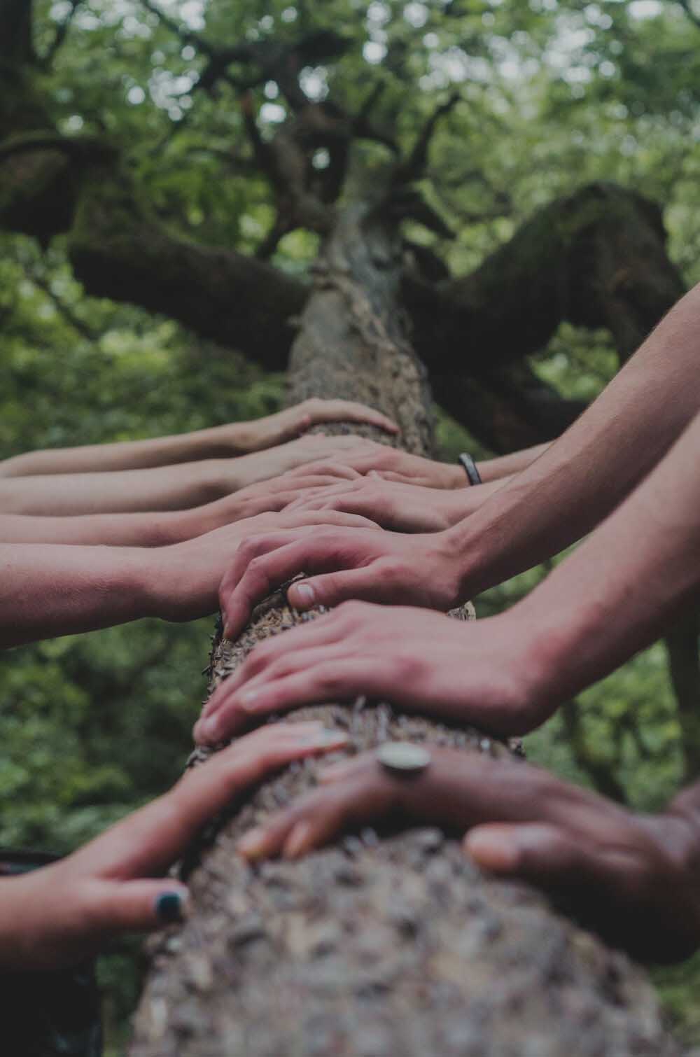 many hands hold tree trunk,community, together