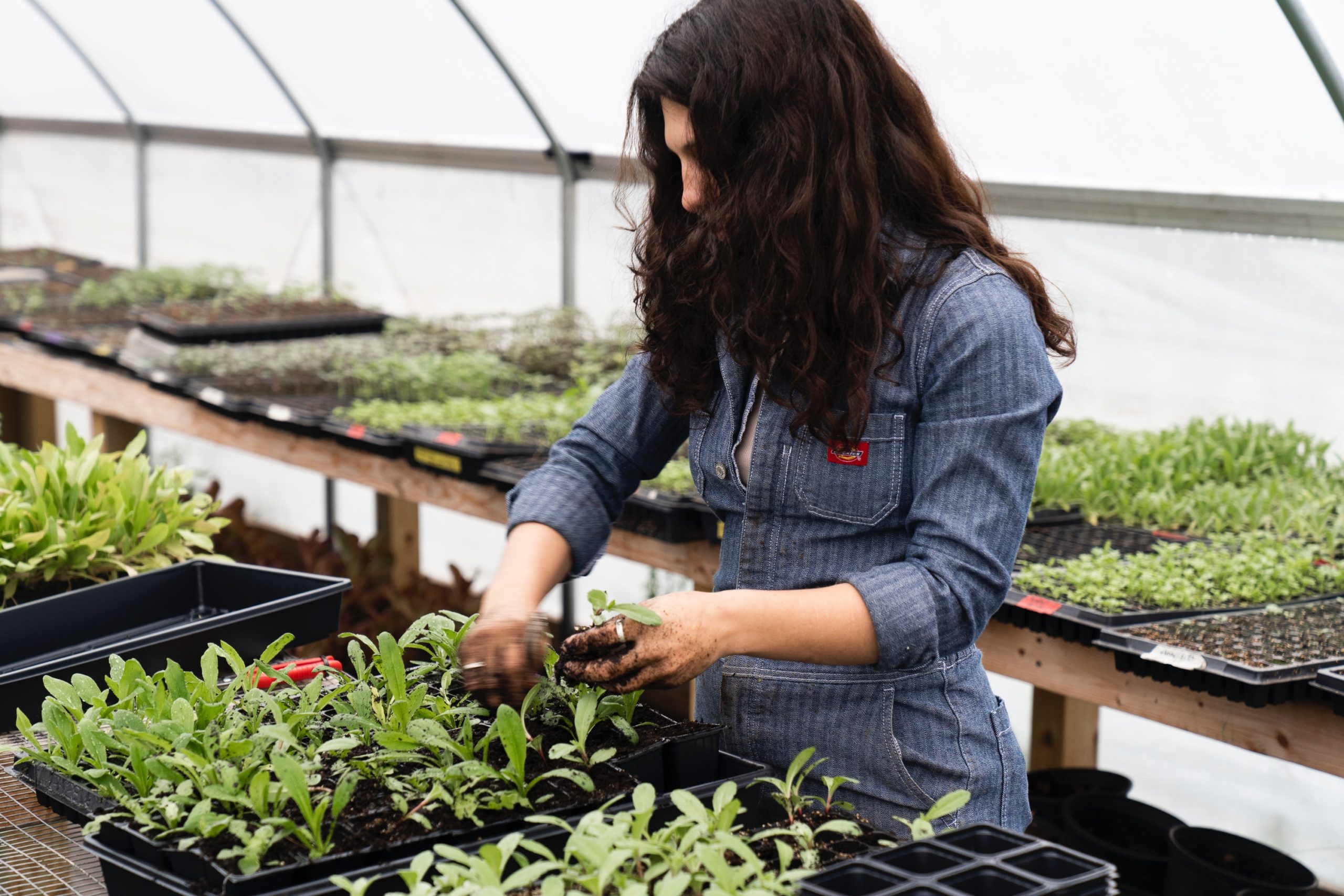 coveralls, planting girl